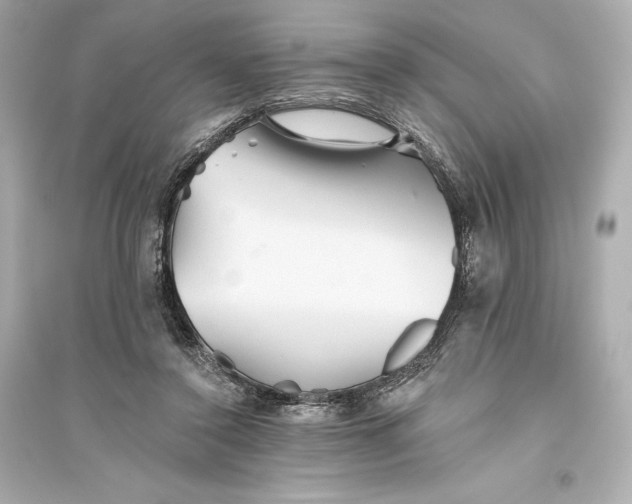 X0000094810356200711301556