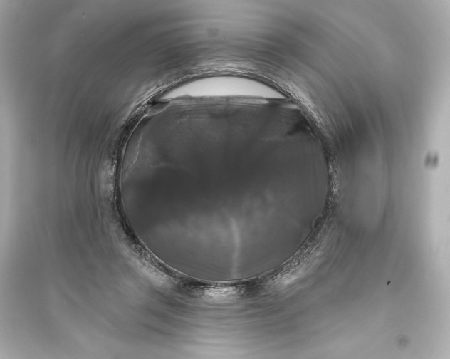 X0000094810357200711301556