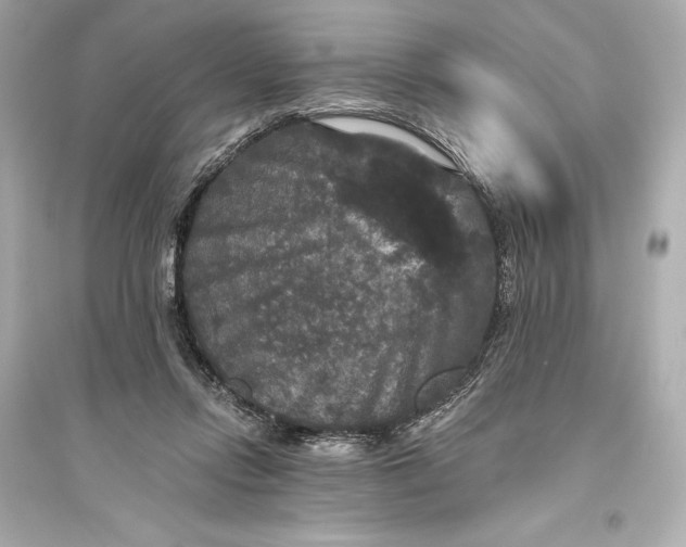 X0000094810358200711301556