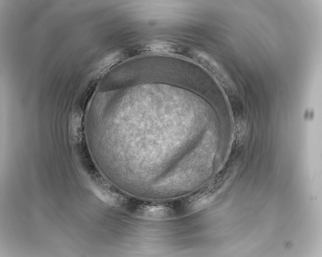 X0000094810360200711301556