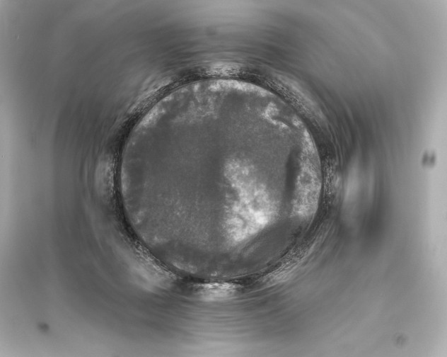 X0000094810363200711301557