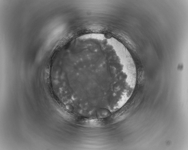 X0000094810365200711301557