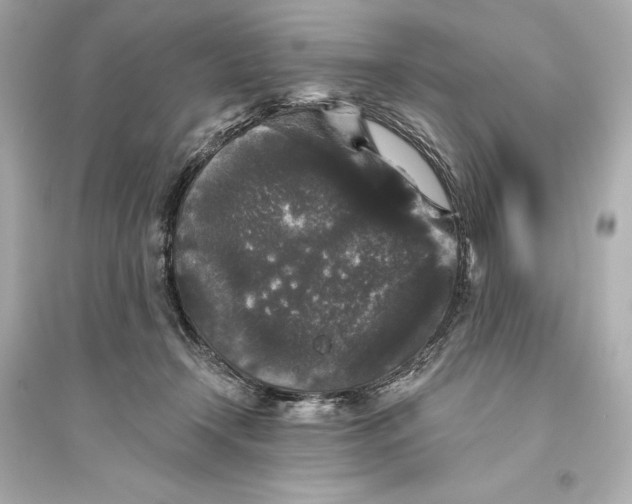 X0000094810366200711301557