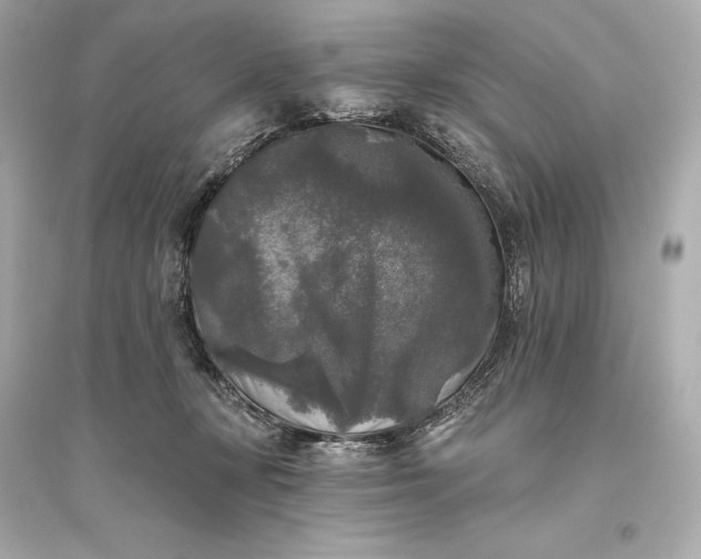 X0000094810367200711301557