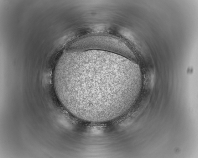 X0000094810368200711301557