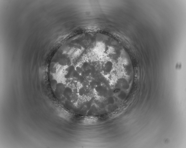 X0000094810369200711301557