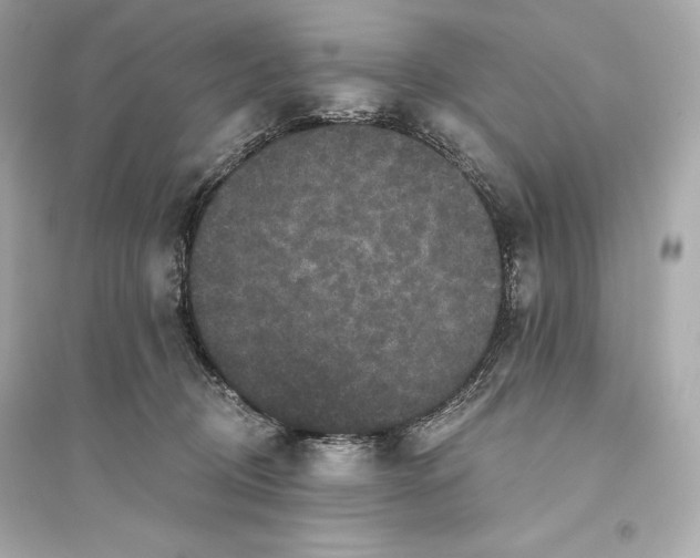 X0000094810370200711301557