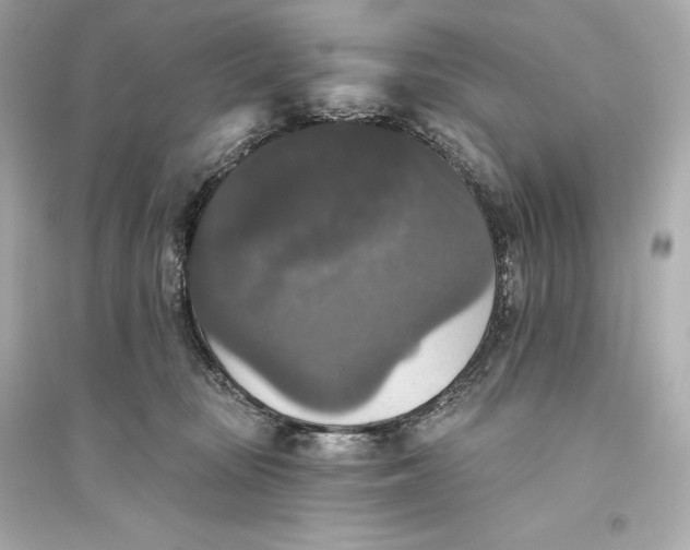 X0000094810371200711301557