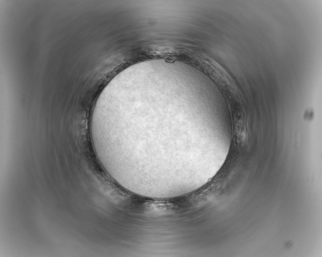 X0000094810372200711301557