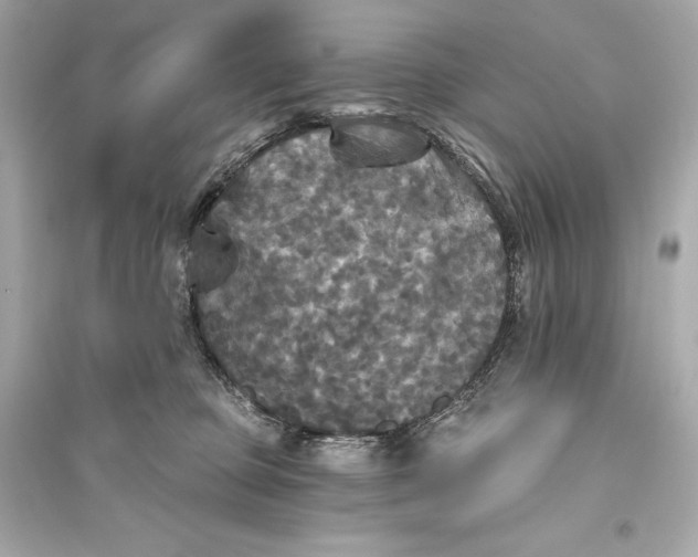 X0000094810373200711301557