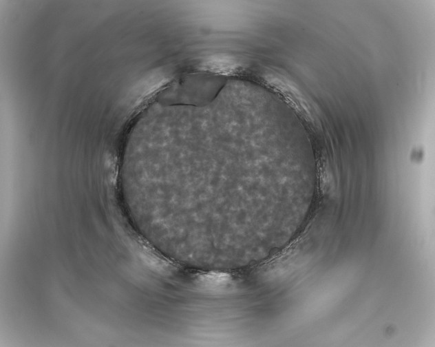 X0000094810374200711301557