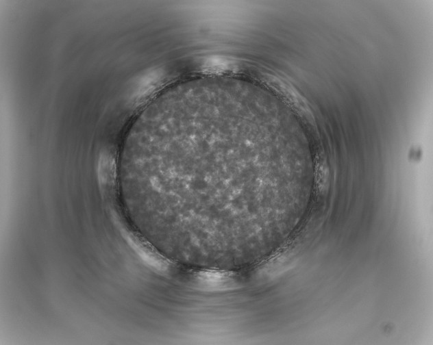 X0000094810375200711301557