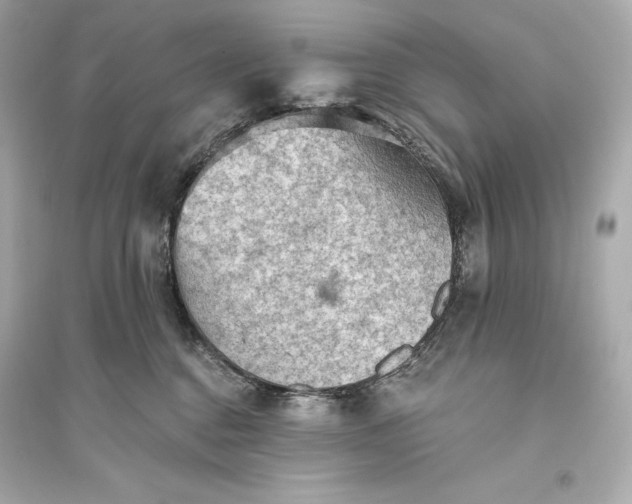 X0000094810376200711301557