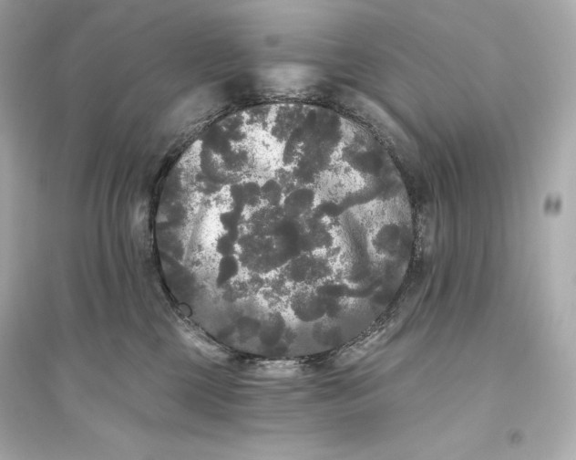 X0000094810377200711301557