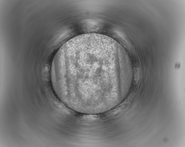 X0000094810378200711301557