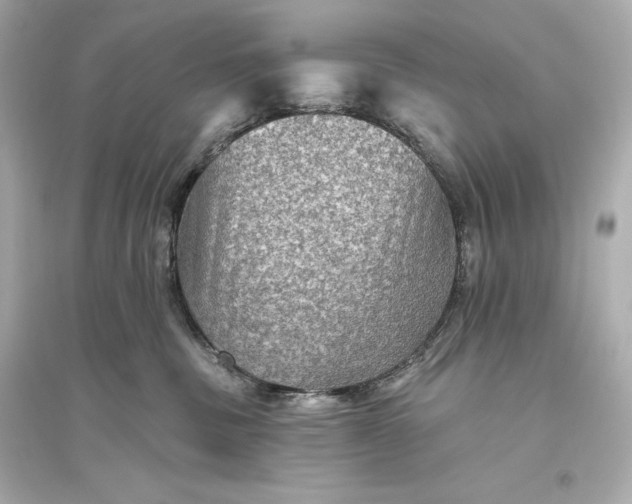 X0000094810379200711301557