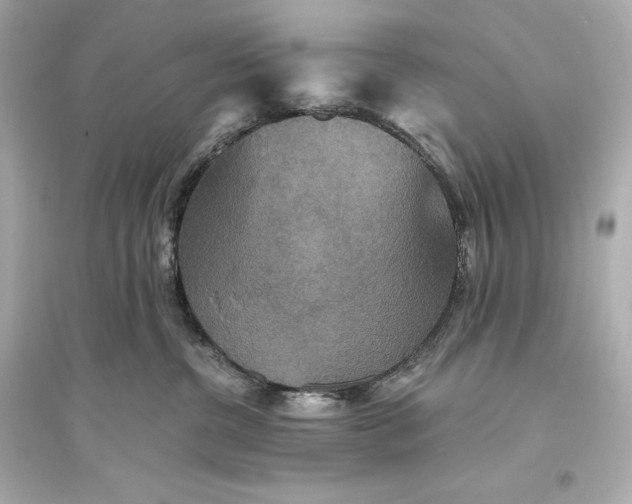 X0000094810380200711301557