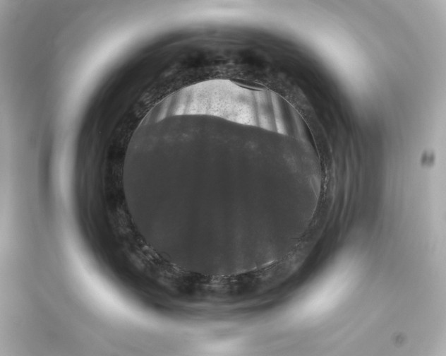 X0000094810383200711301557