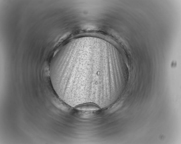 X0000094810384200711301557