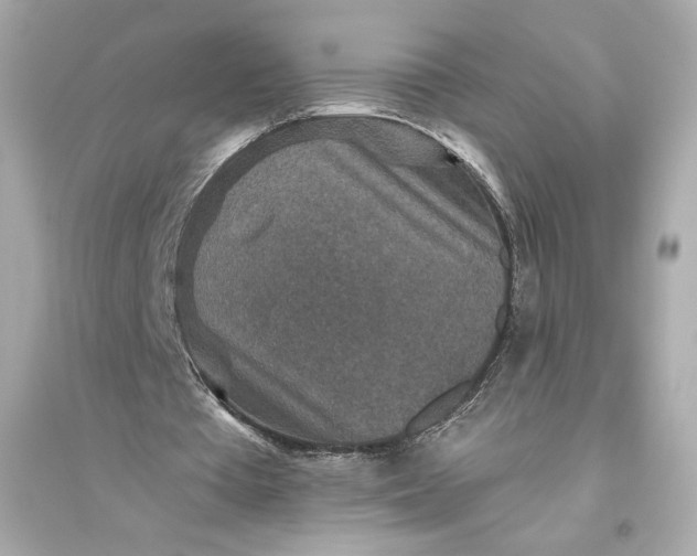 X0000094810385200711301556