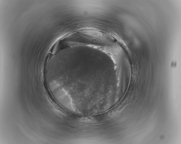 X0000094810386200711301556