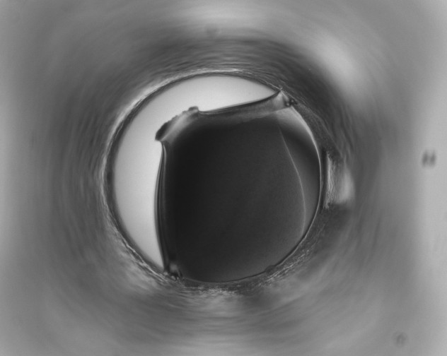 X0000094810387200711301556