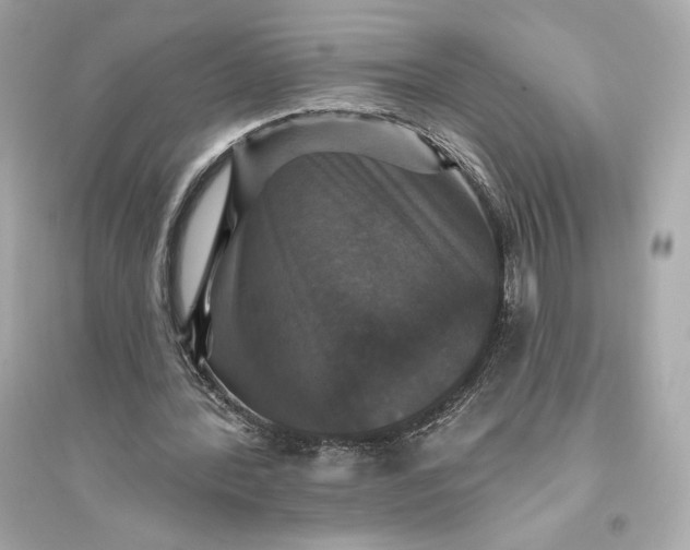 X0000094810388200711301556