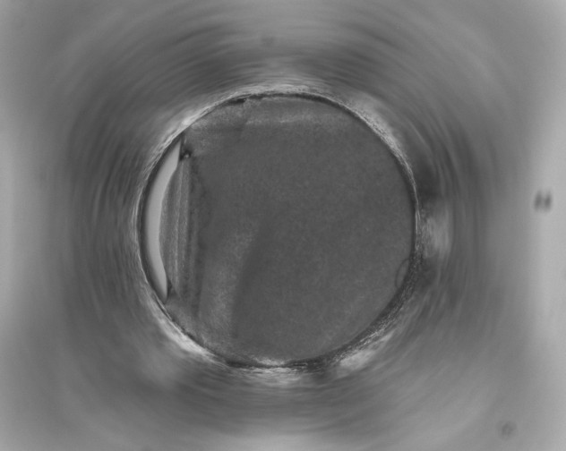 X0000094810389200711301556