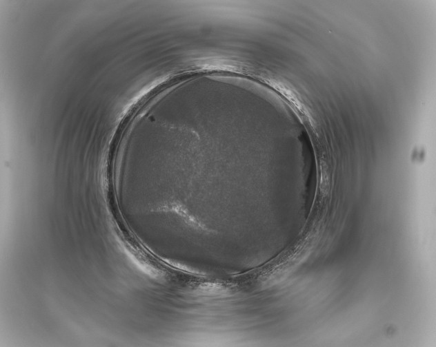 X0000094810390200711301556