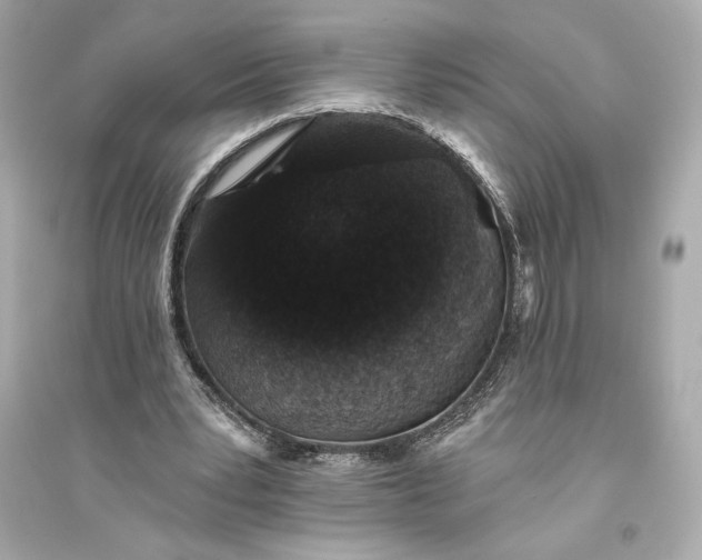 X0000094810391200711301556