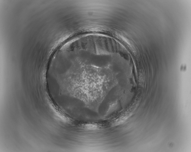 X0000094810394200711301556