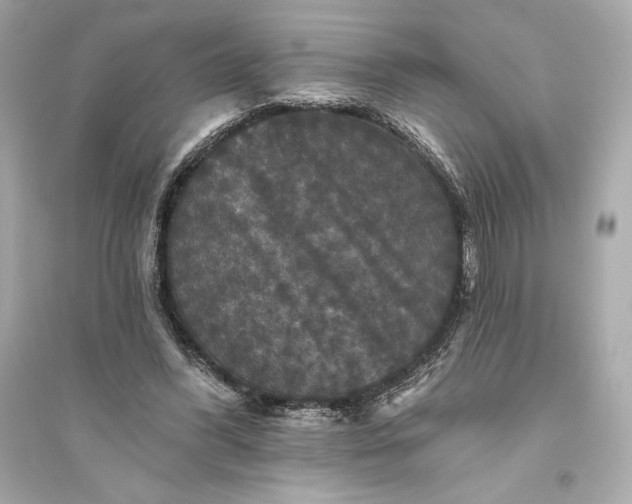 X0000094810396200711301556