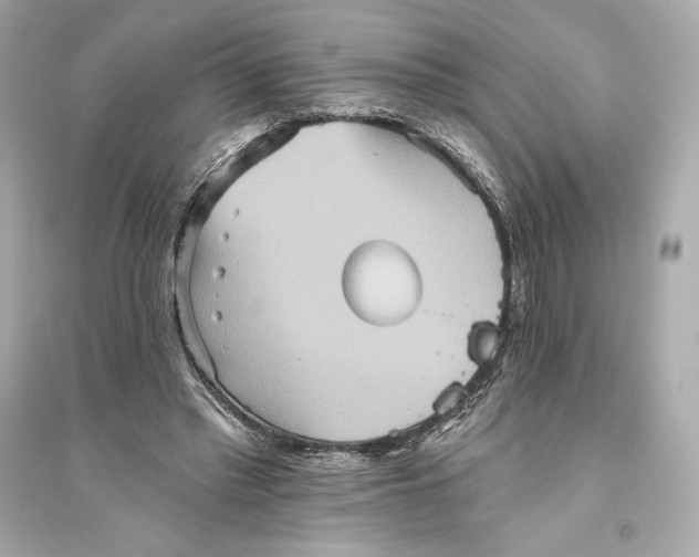 X0000094810397200711301556