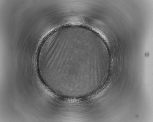 X0000094810399200711301556