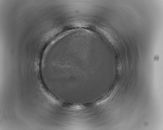 X0000094810402200711301556