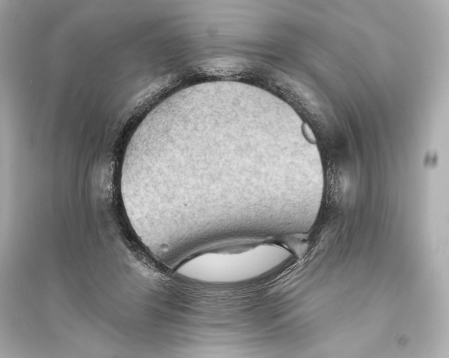 X0000094810404200711301556