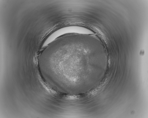 X0000094810405200711301556