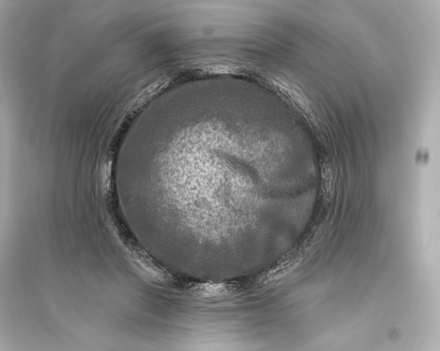 X0000094810406200711301556