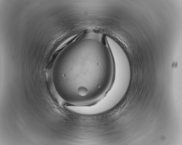 X0000094810407200711301556