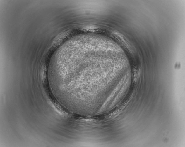 X0000094810408200711301556