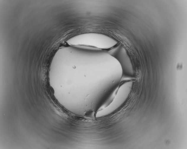 X0000094810409200711301556