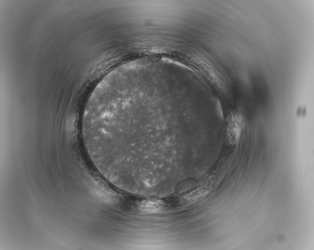 X0000094810410200711301556