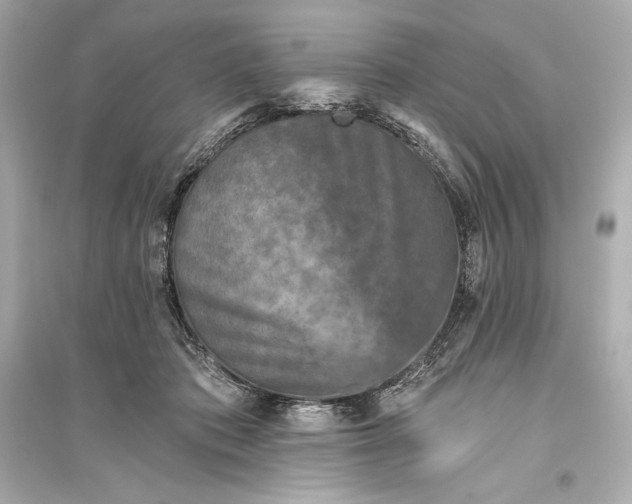 X0000094810413200711301556