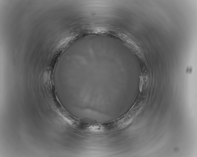 X0000094810415200711301556