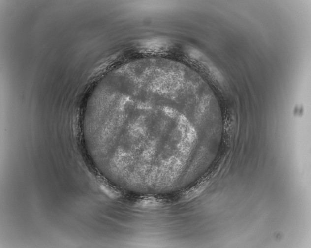 X0000094810416200711301556