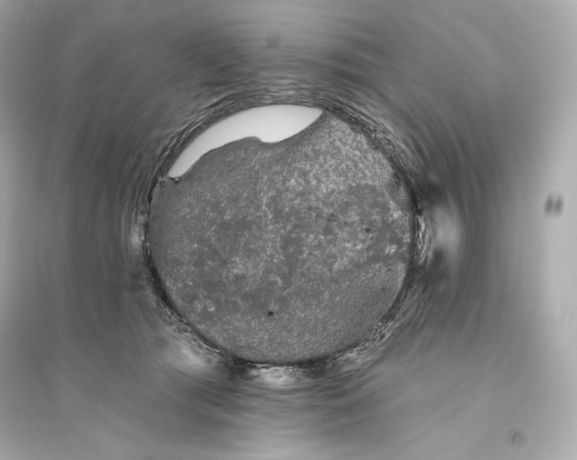 X0000094810417200711301556