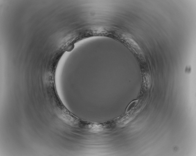 X0000094810419200711301556