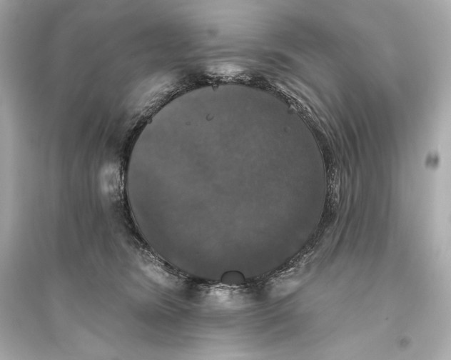 X0000094810420200711301556