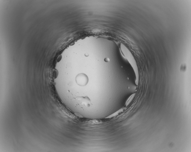 X0000094810421200711301556