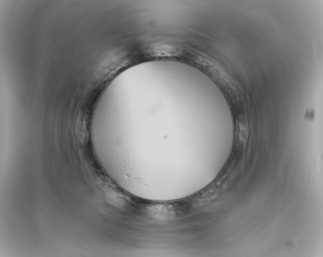 X0000094810422200711301556